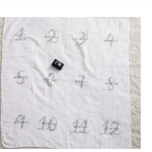 Pottery Barn "Modern Baby" Milestone Blanket